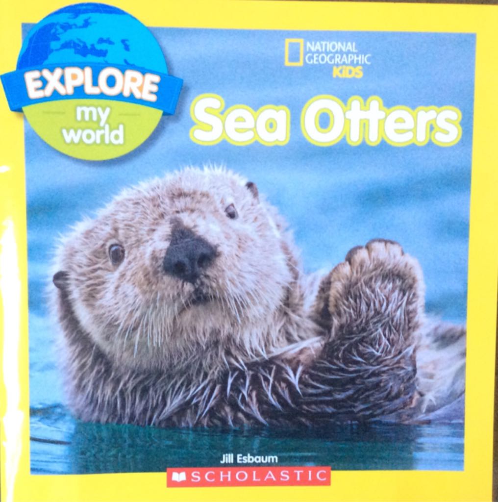 Sea Otters Explore My World