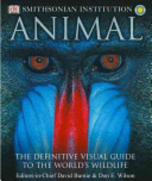 Animal: The Difinitive Visual Guide to the World’s Wildlife