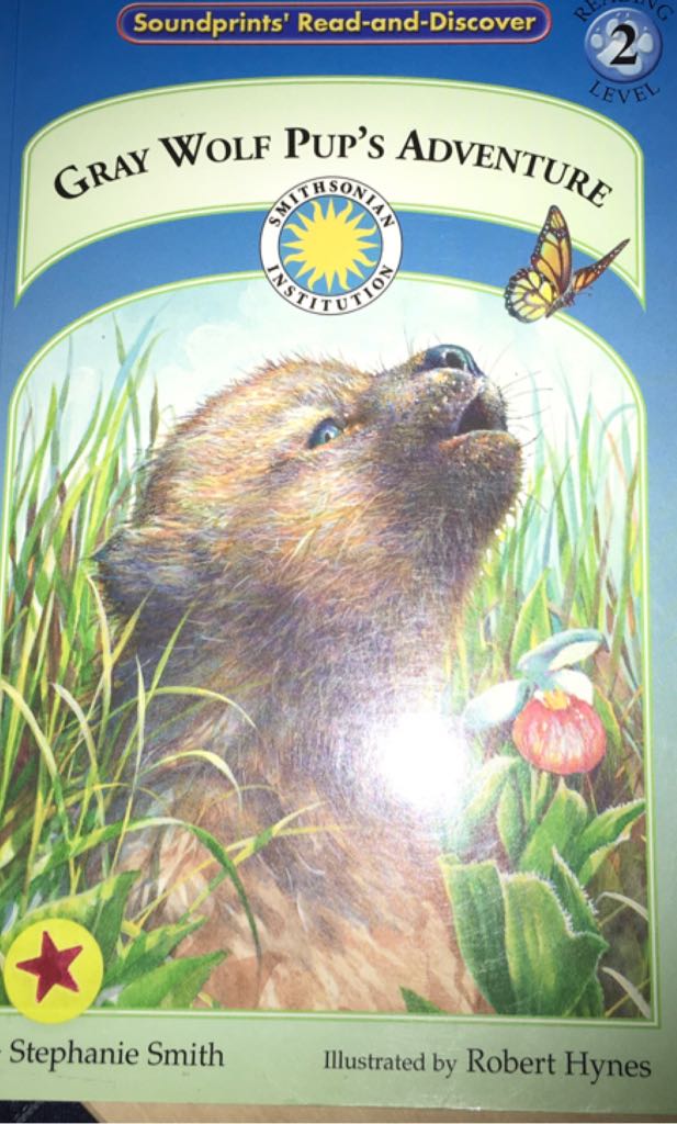 Great Wolf Pup’s Adventure