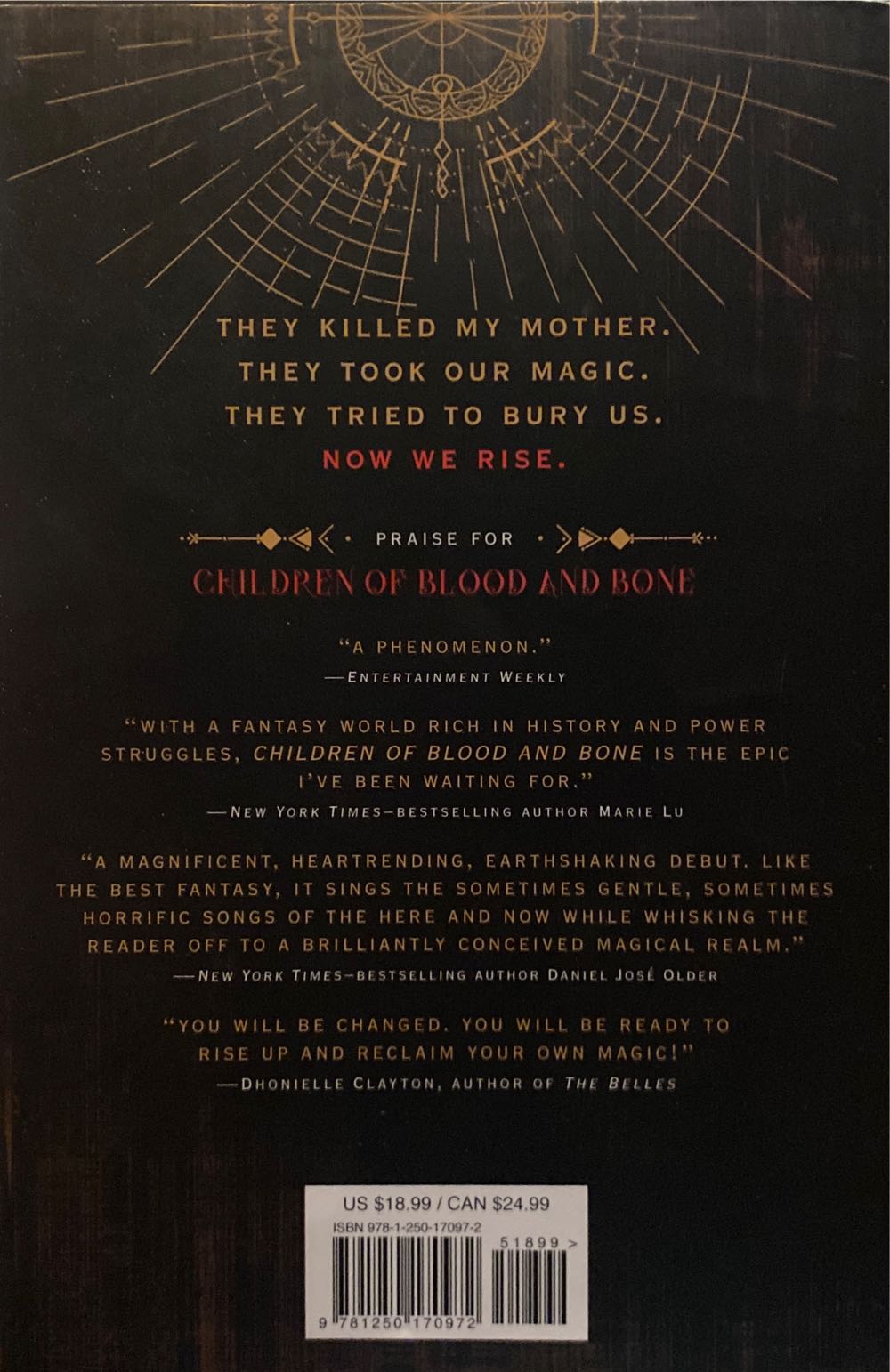 Children of Blood and Bone - Tomi Adeyemi (Henry Holt Books For Young Readers - Hardcover) book collectible [Barcode 9781250170972] - Main Image 3