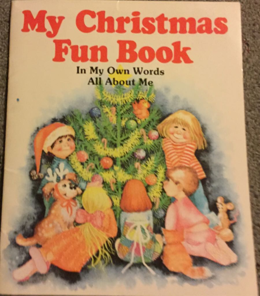 My Christmas Fun Book