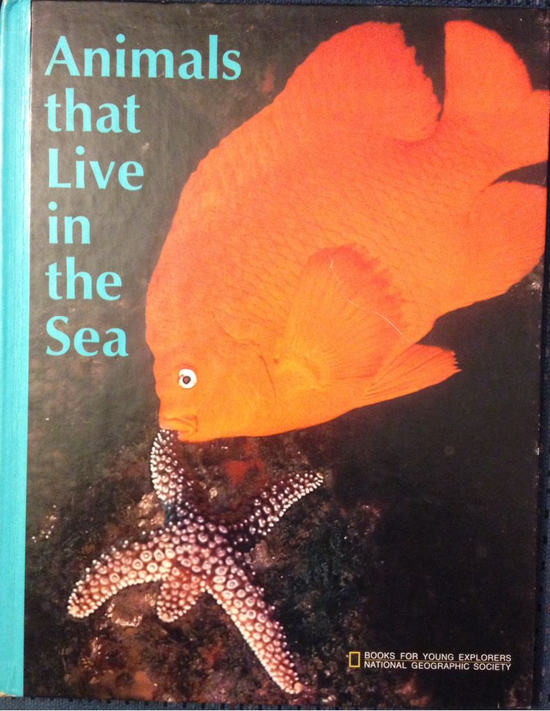 Animals That Live in the Sea