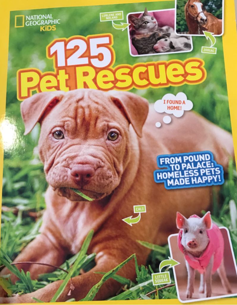 125 Pet Rescues - National Geographic Kids, book collectible [Barcode 9781338261646] - Main Image 1