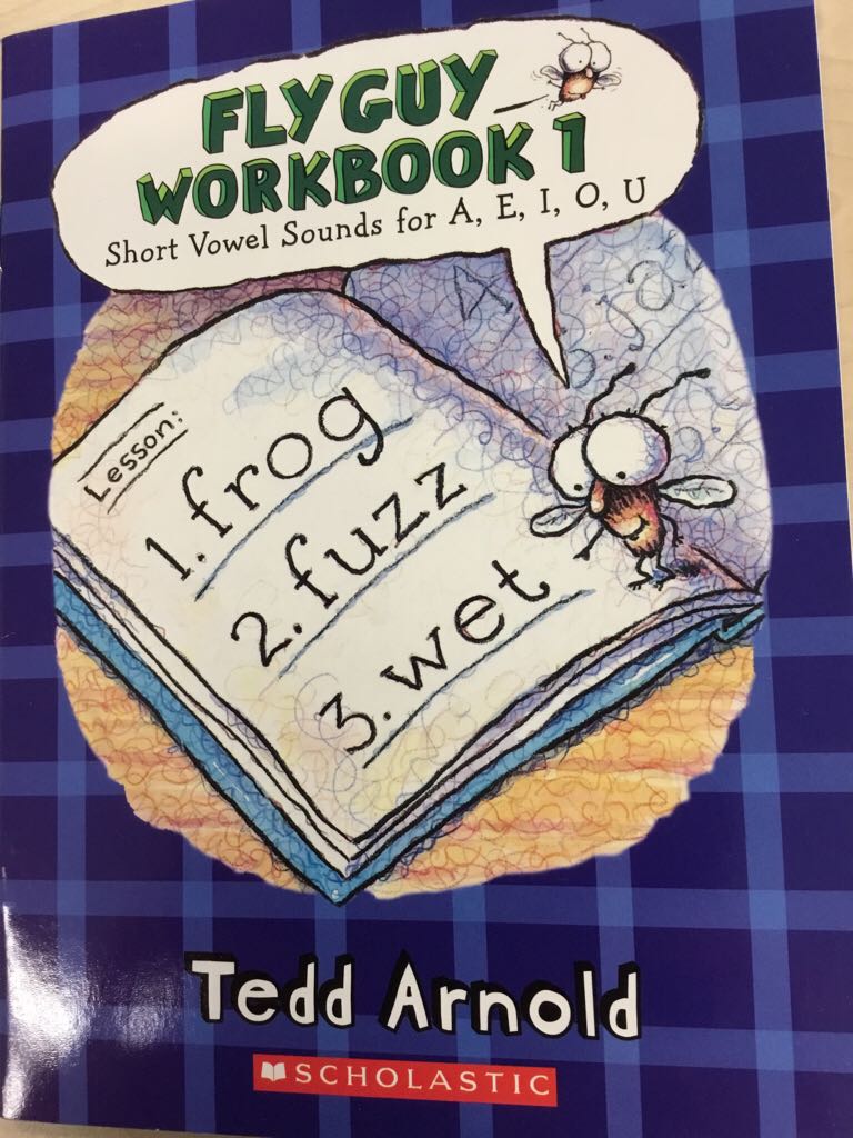 Fly Guy Workbook 1: Short Vowel Sounds For A, E, I, O, U 