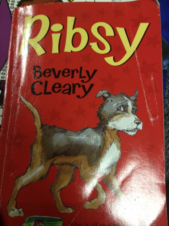 Ribsy