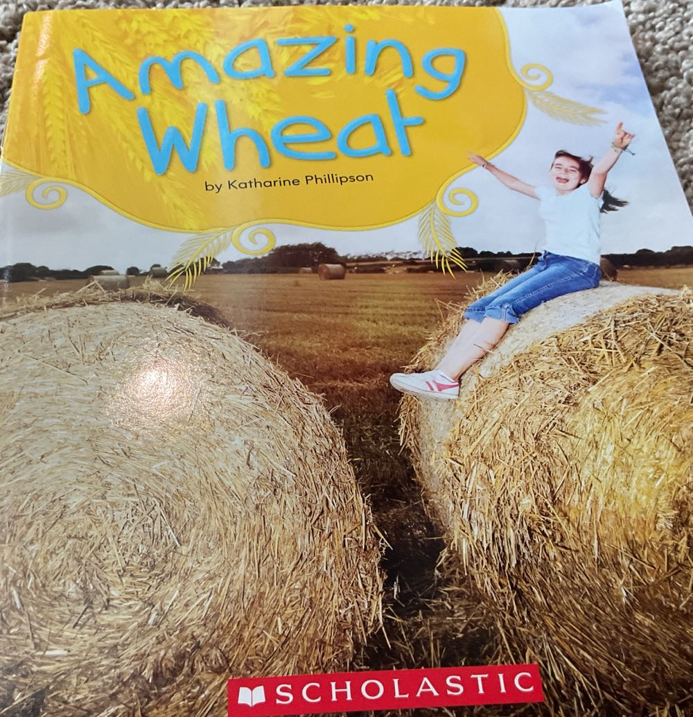 Amazing Wheat