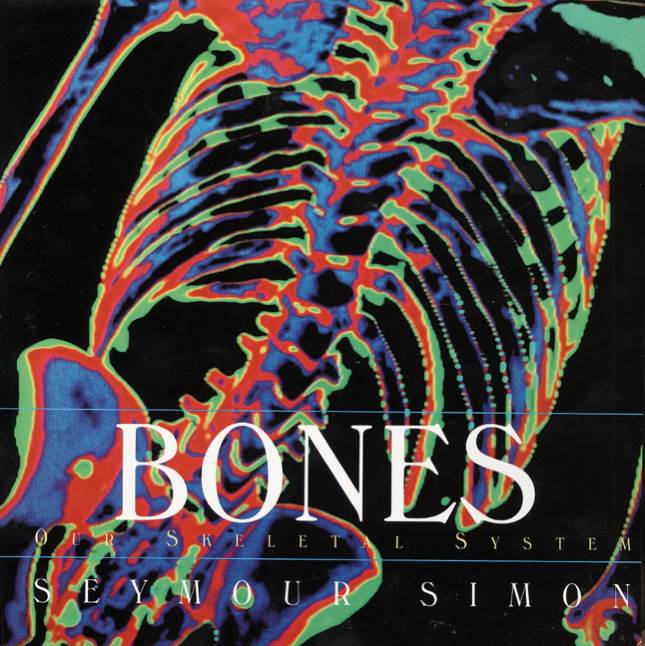 Bones Your Skeletal System - Seymour Simon (Scholastic Incorporated - Paperback) book collectible [Barcode 9780439078085] - Main Image 1