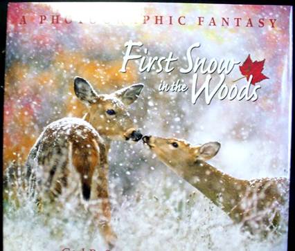 First Snow In The Woods - Carl R. Sams II (Workman Publishing Company - Hardcover) book collectible [Barcode 9780977010868] - Main Image 1