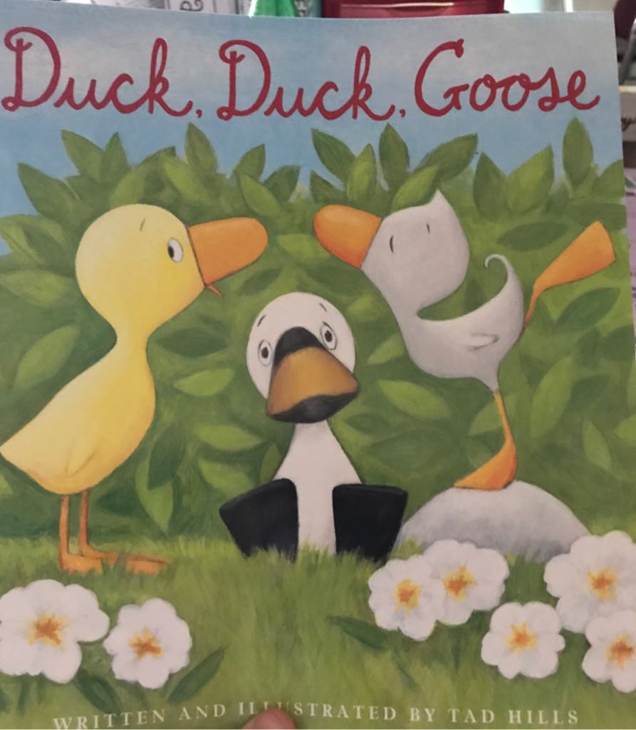 Duck Duck Goose