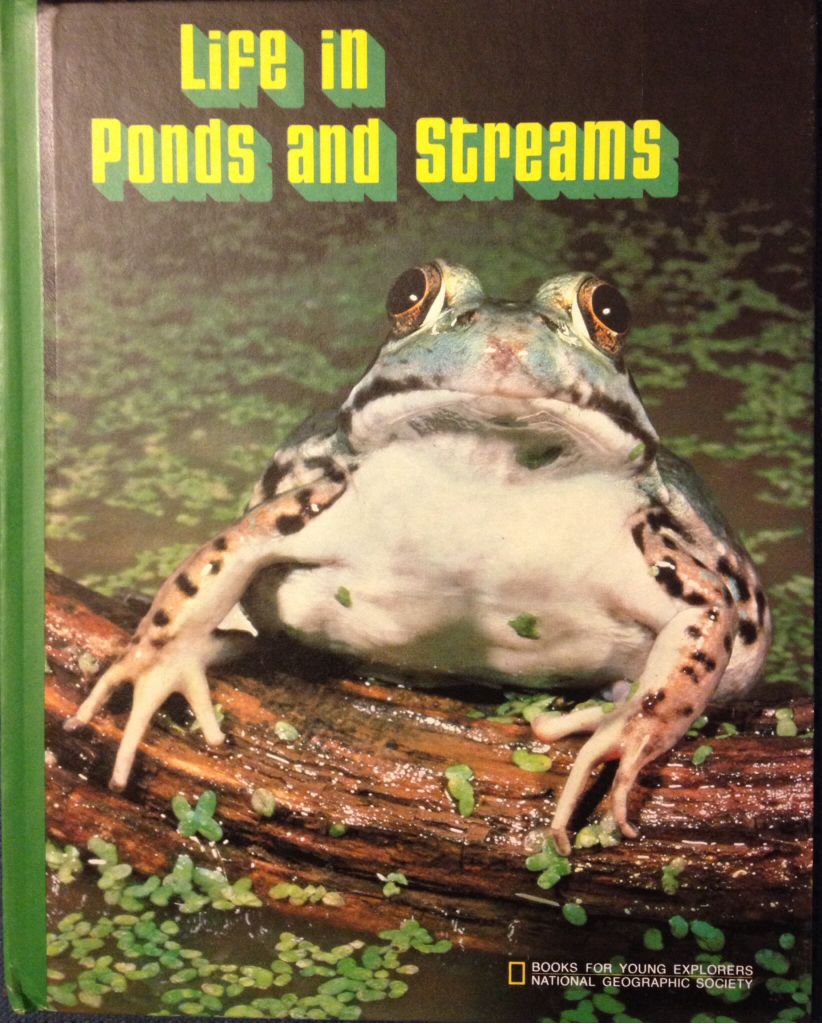 NG Life in Ponds And Streams