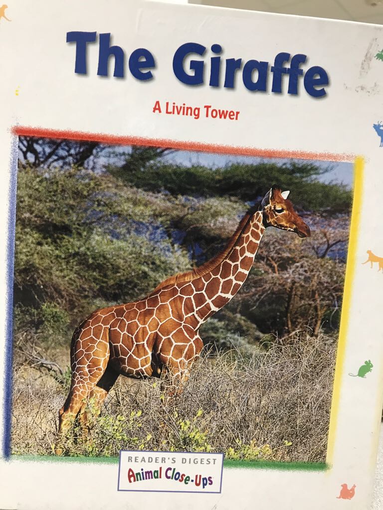 The Giraffe A Living Tower