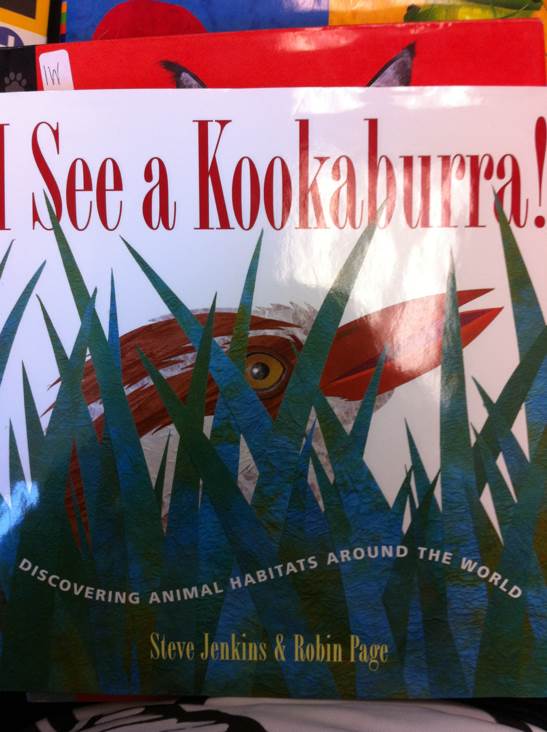 I See A Kookaburra! - Steve Jenkins (Houghton Mifflin Harcourt - Hardcover) book collectible [Barcode 9780618507641] - Main Image 1