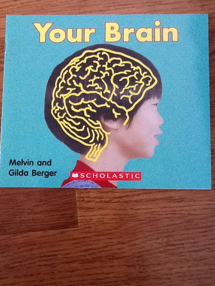 Your Brain
