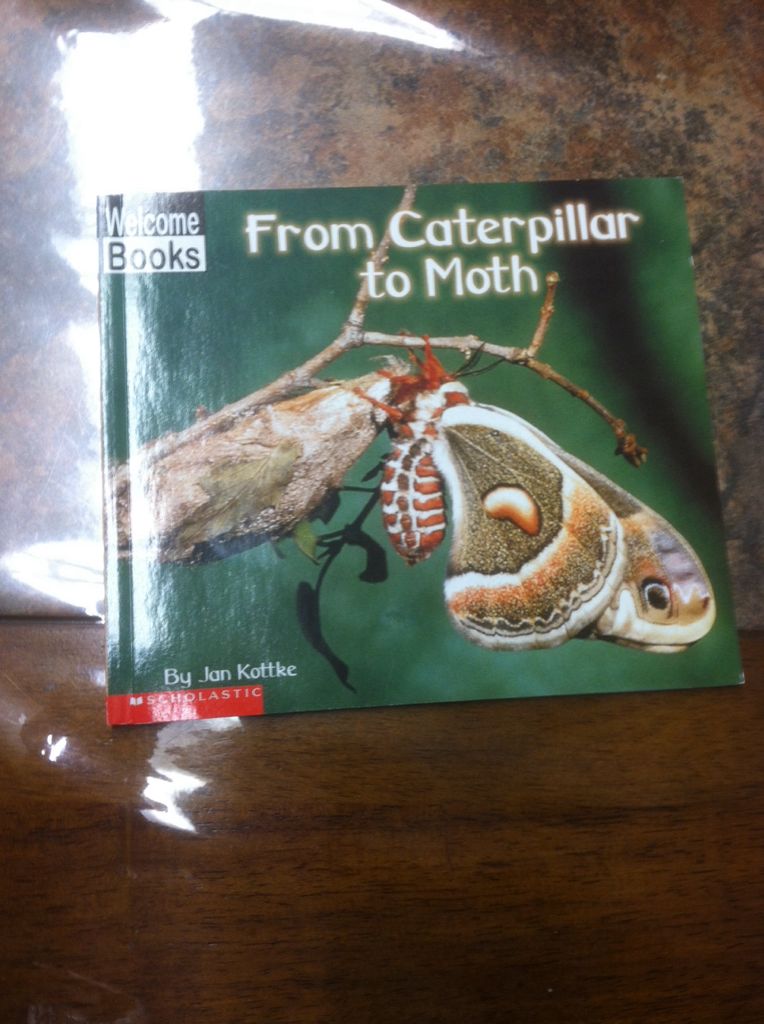 From Caterpillar to Moth