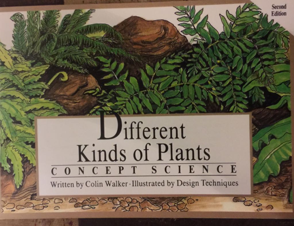 Different Kinds Of Plants