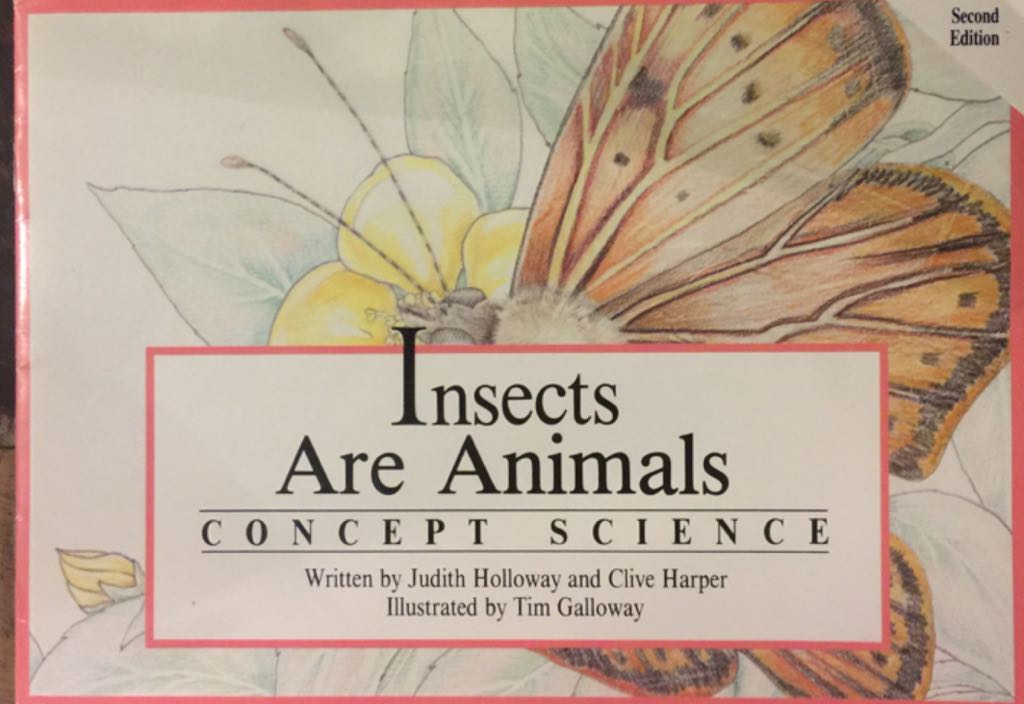 Insects Are Animals