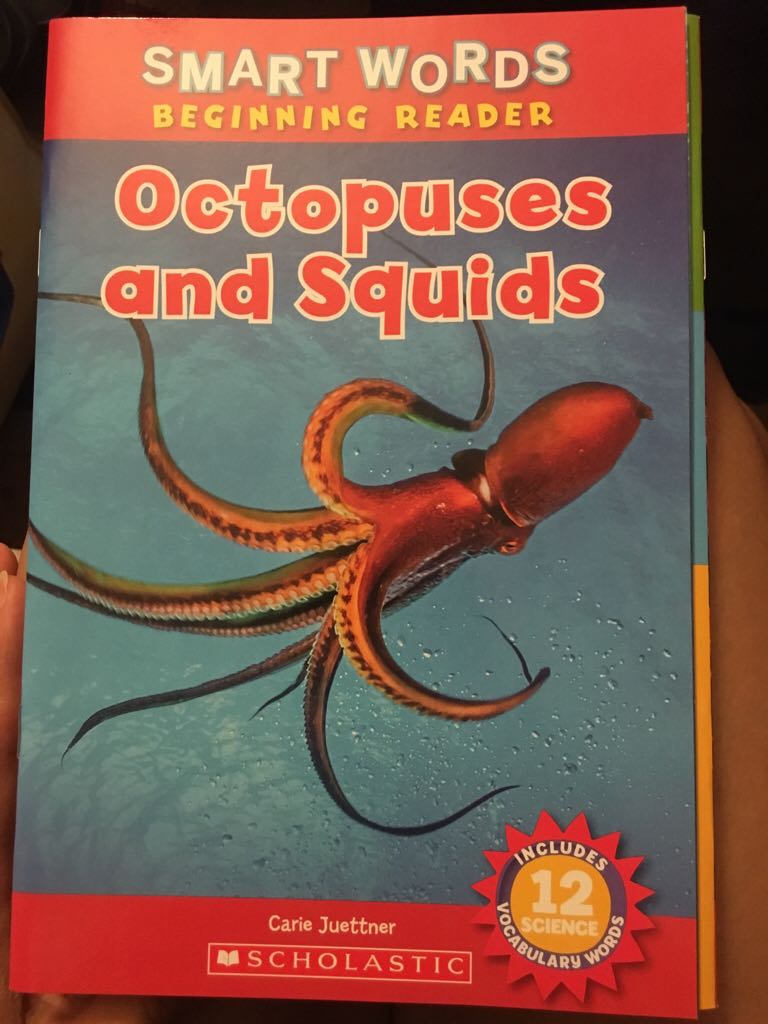 Octopuses And Squids