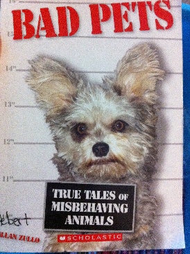 Bad Pets- True Tales Of Misbehaving Animals - Allan Zullo (A Scholastic Press - Paperback) book collectible [Barcode 9780545206433] - Main Image 1