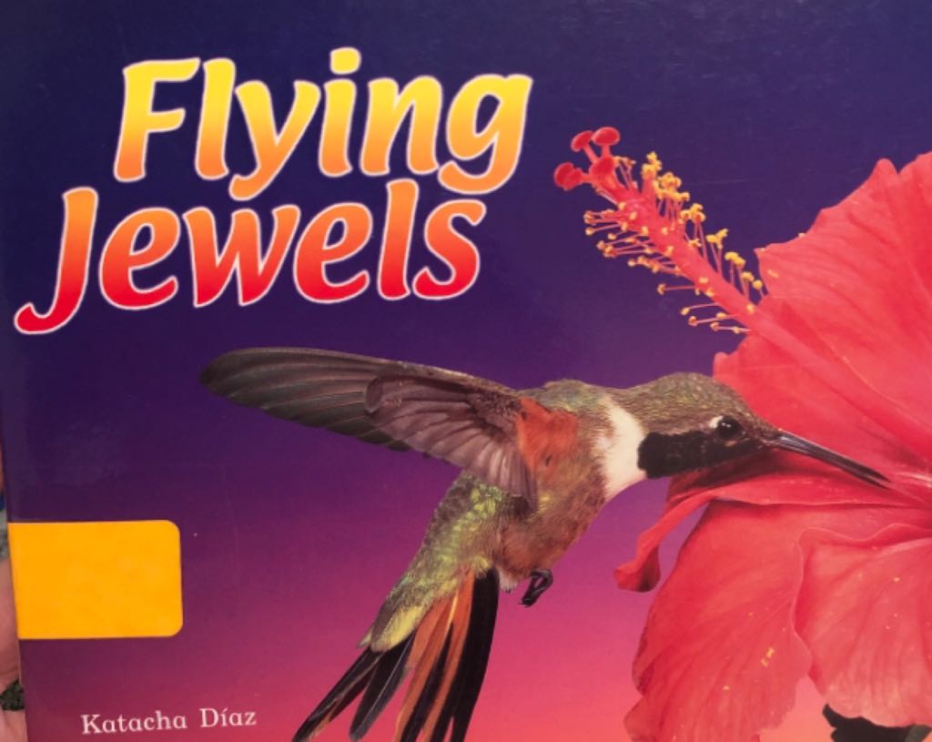 Flying Jewels