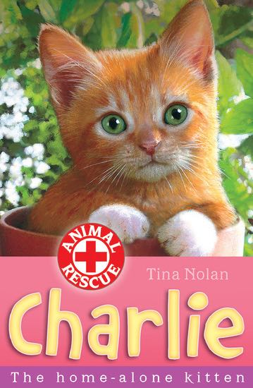 Charlie, the Home-alone Kitten