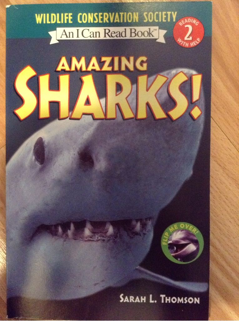 Amazing Sharks/Amazing Dolphins - Sarah L Thomson book collectible [Barcode 9780545003490] - Main Image 2