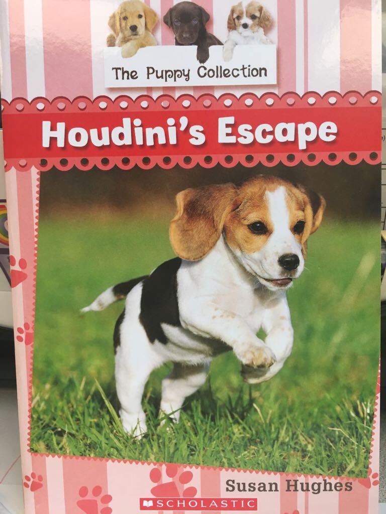 The Puppy Collection- Houdini’s Escape