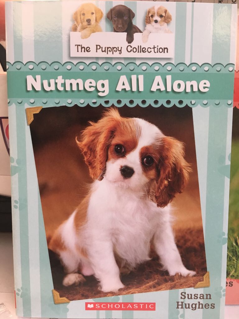 The Puppy Collection- Nutmeg All Alone