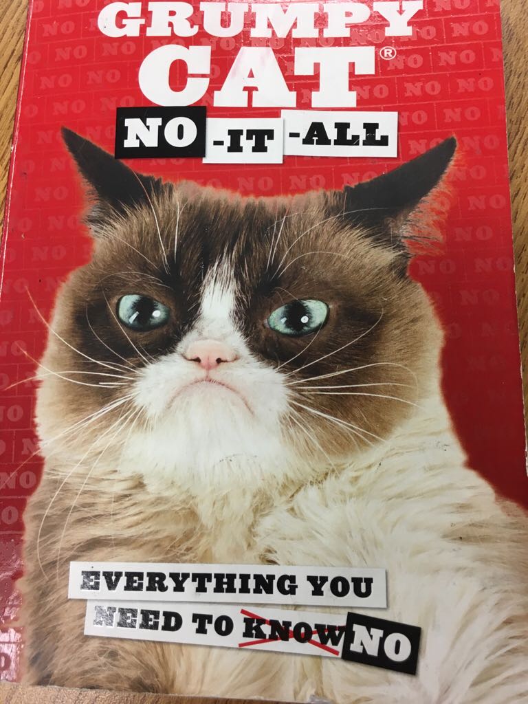 Grumpy Cat No-It-All
