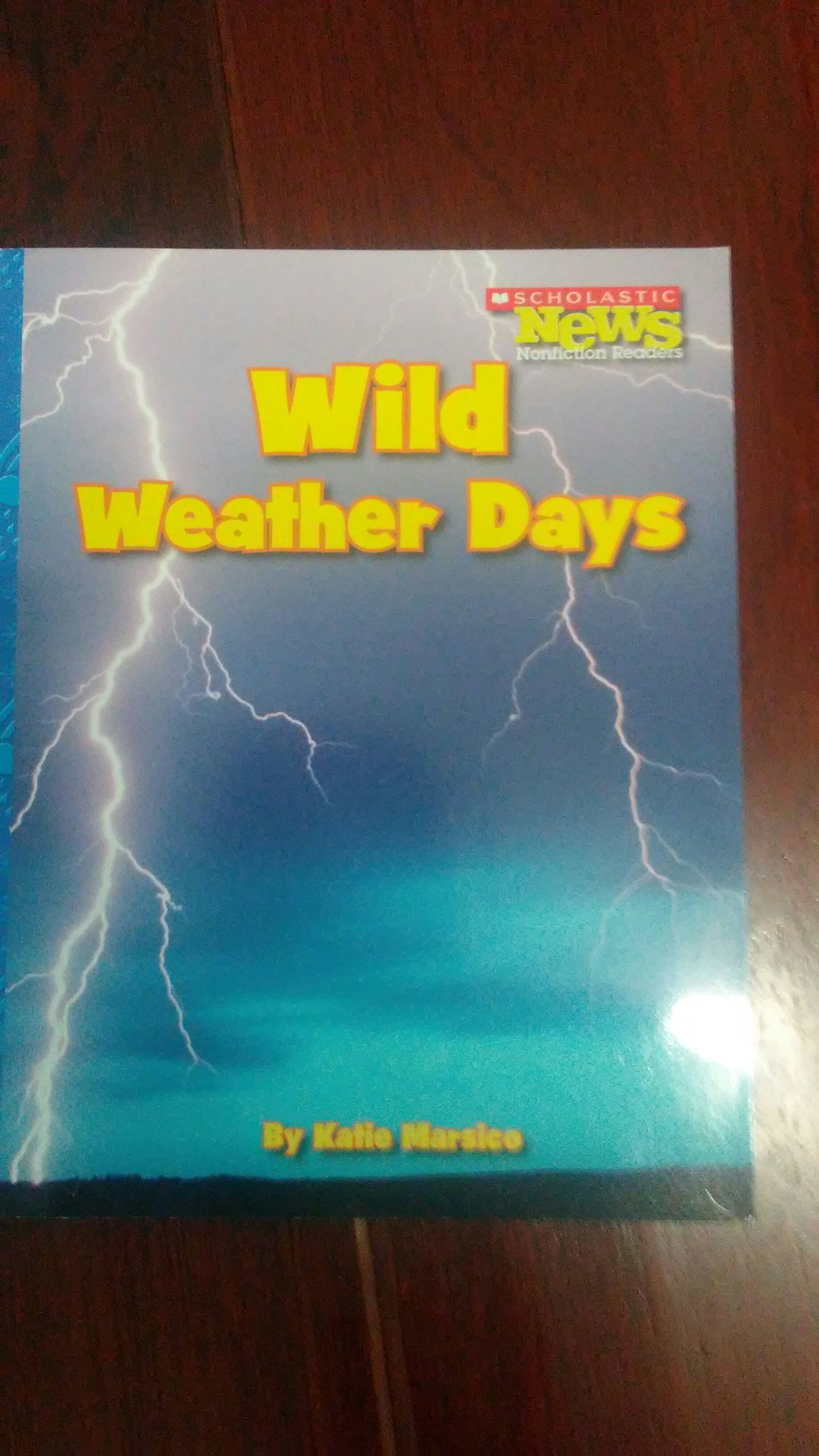 Wild Weather Days