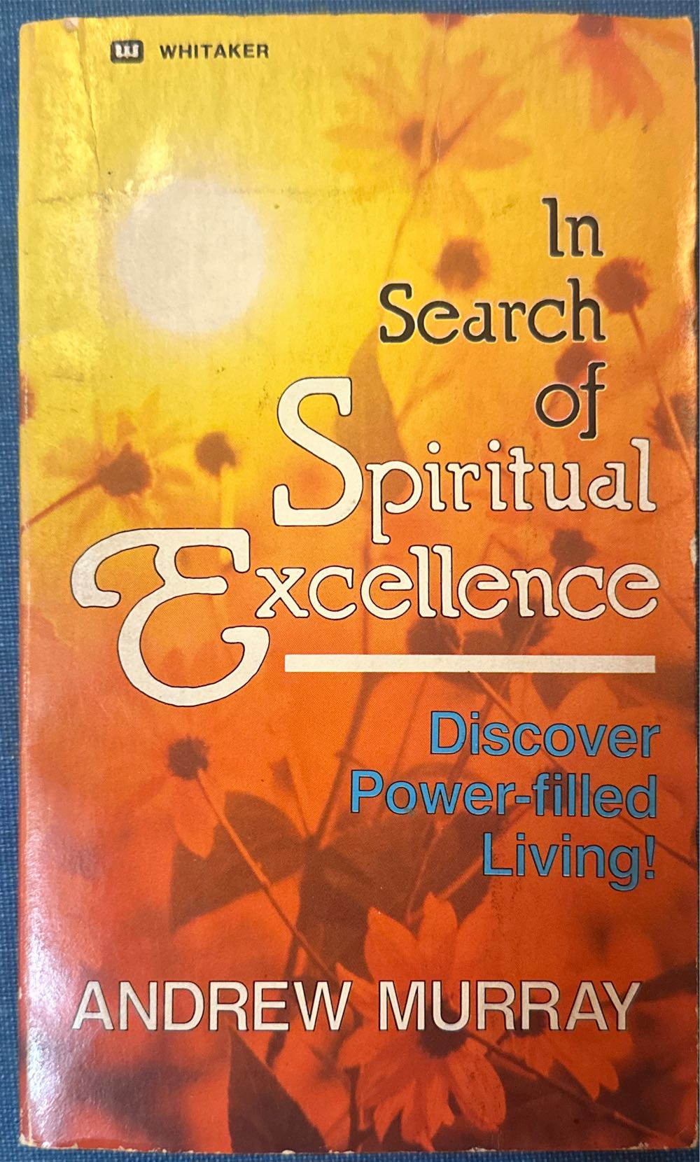 In Search of Spiritual Excellence