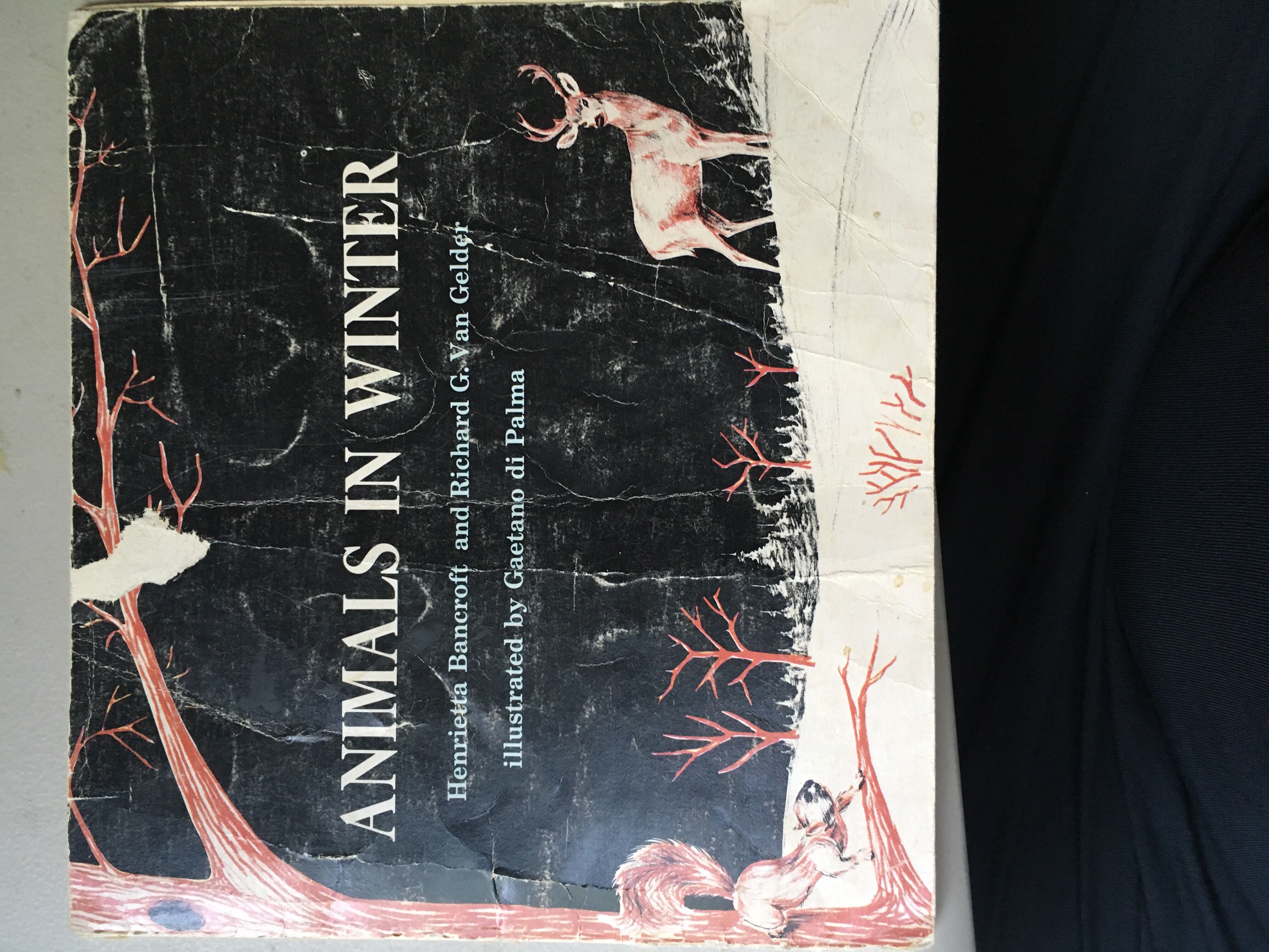 Animals in Winter - Henrietta Bancroft (Scholastic - Paperback) book collectible [Barcode 0590013211] - Main Image 2