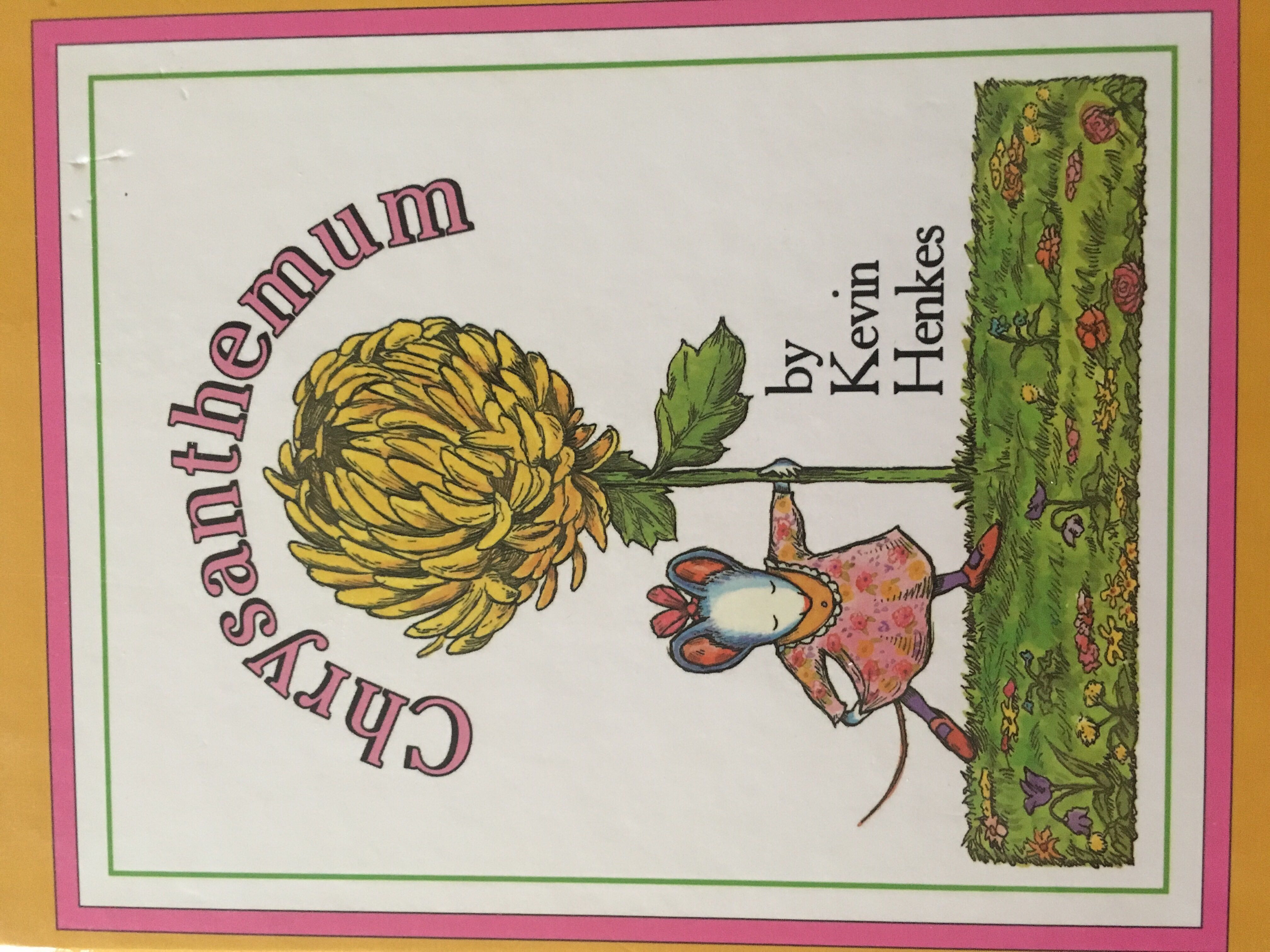 Chrysanthemum