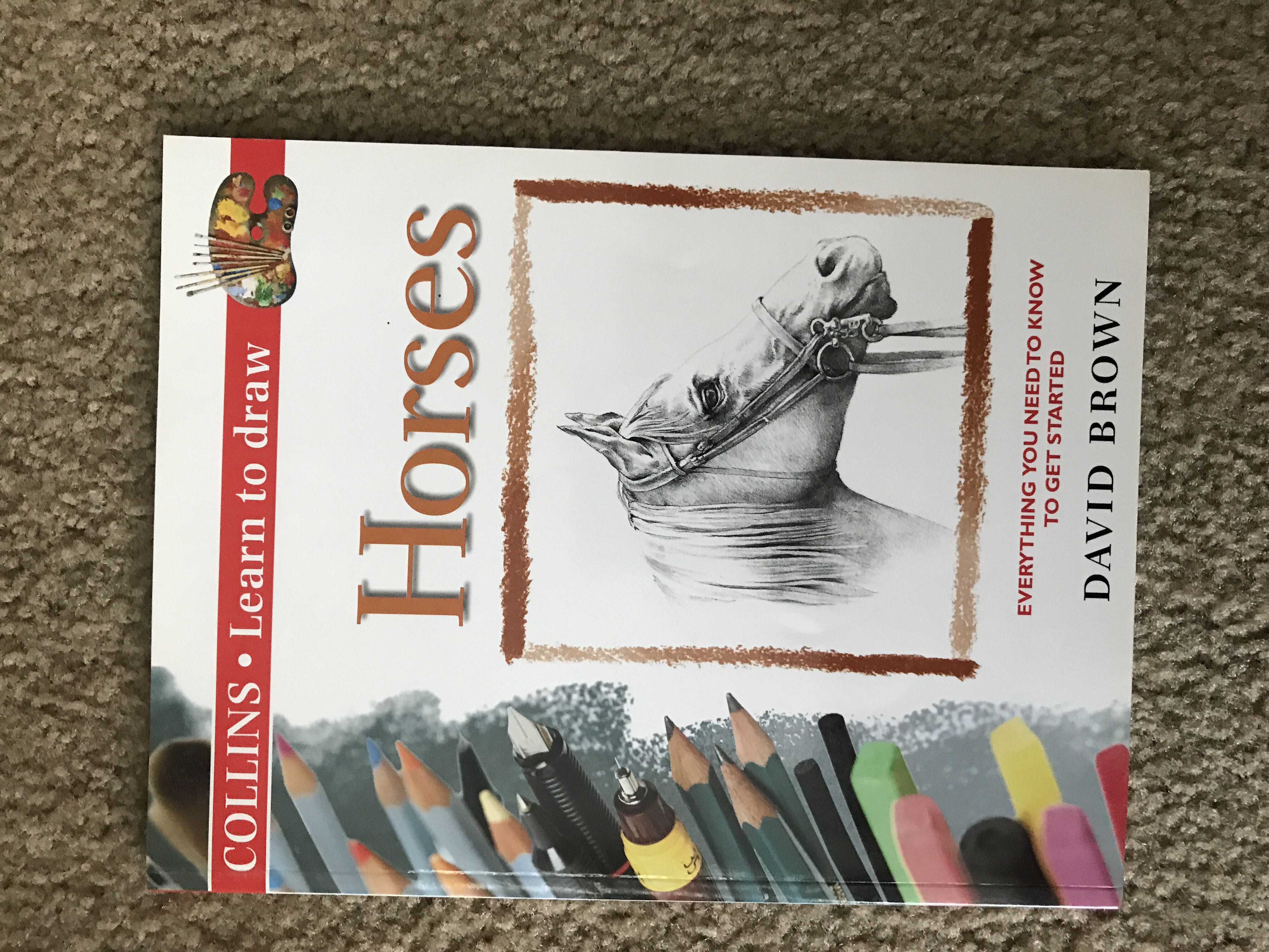 Learn To Draw: Horses