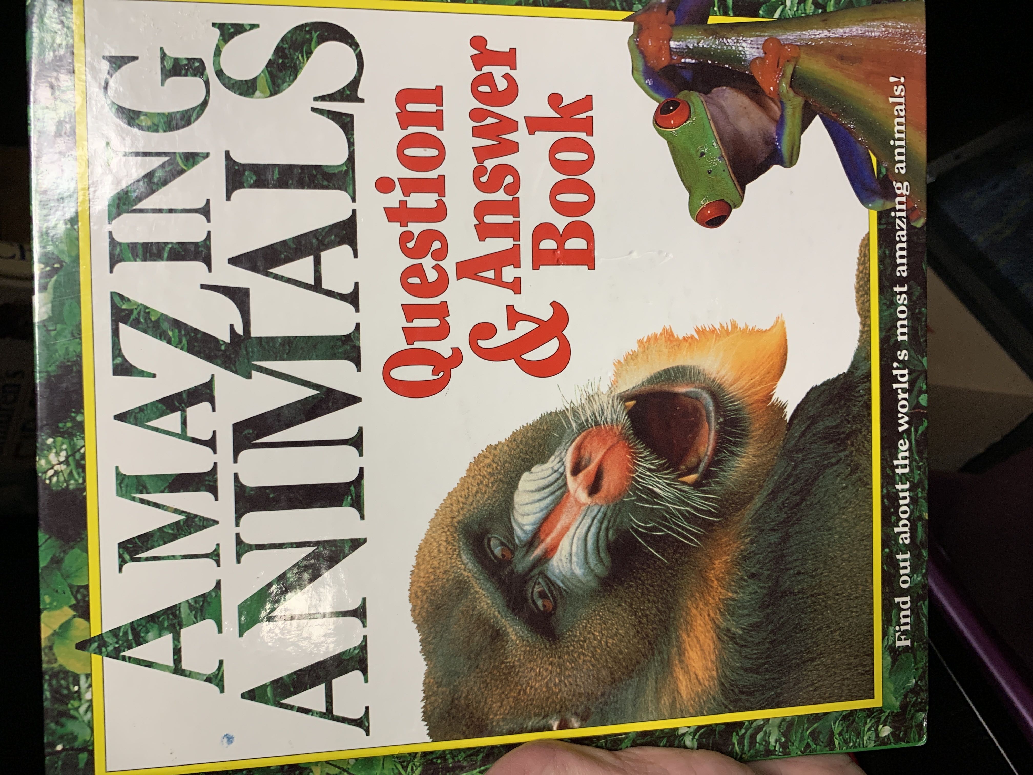 Amazing Animals - Holm (Joshua Morris Pub) book collectible [Barcode 9782894293812] - Main Image 1