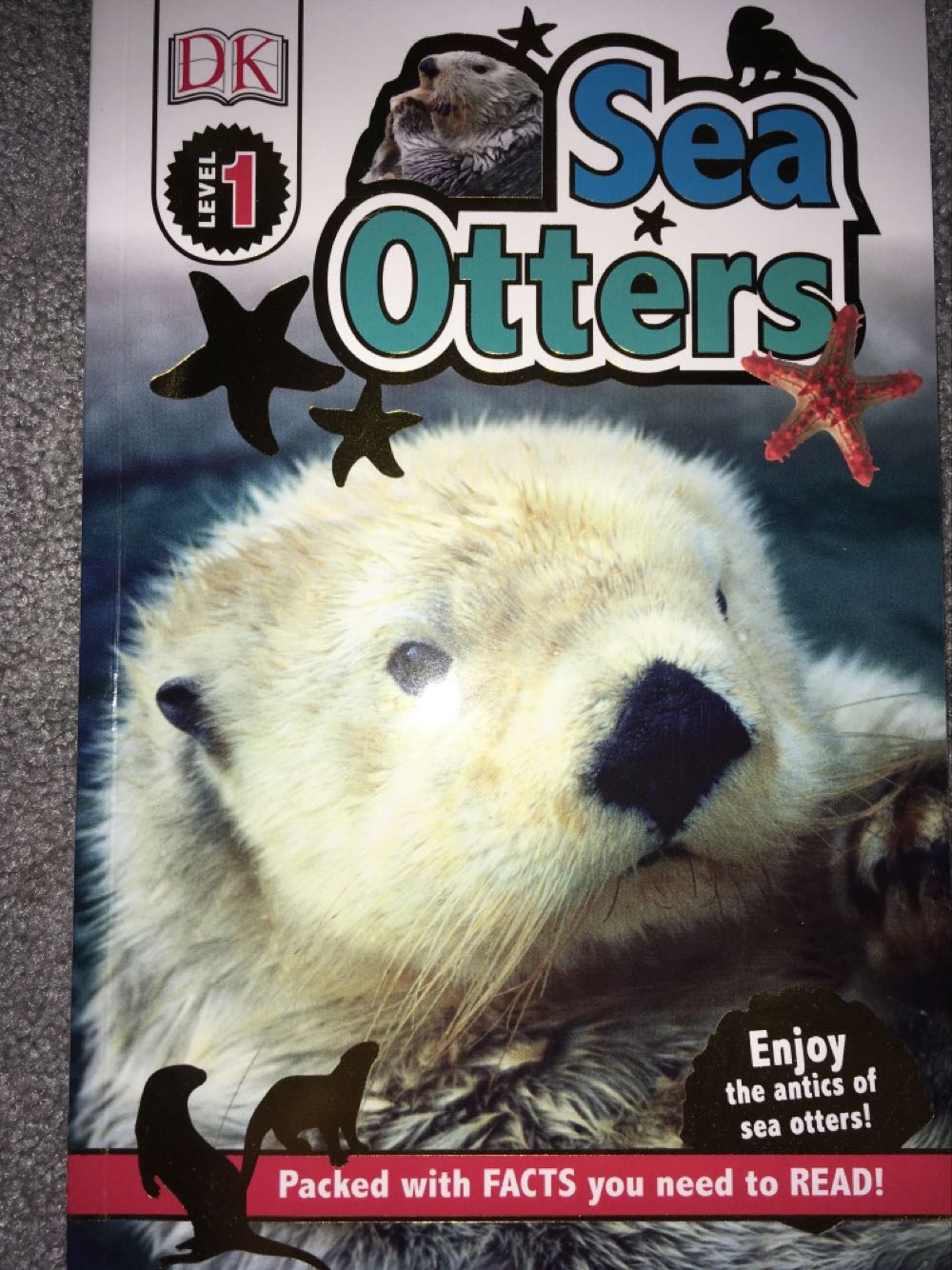 Sea Otters