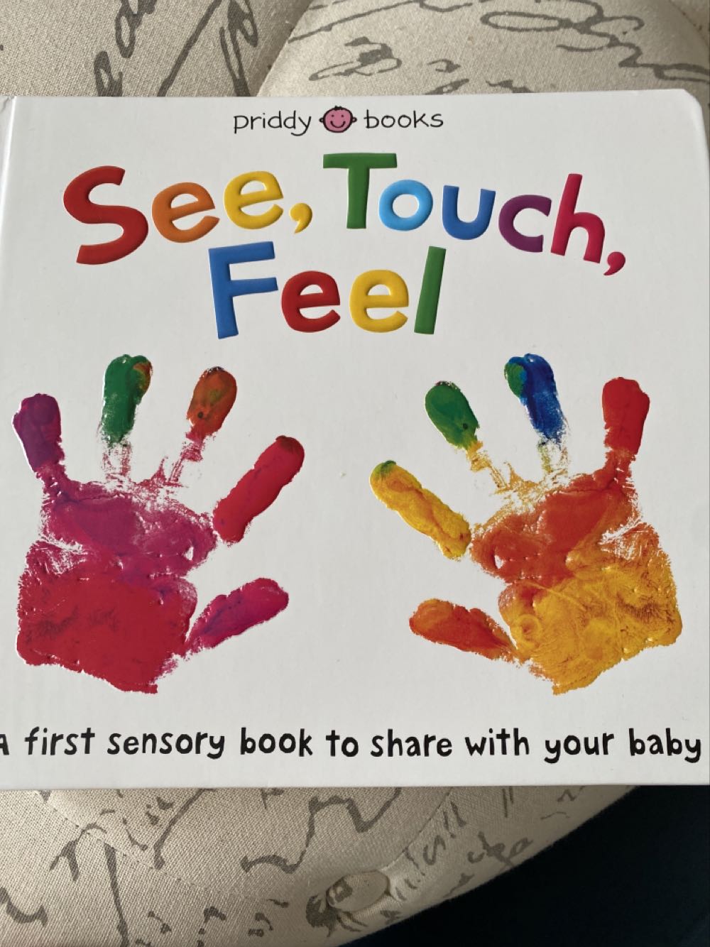 See, Touch, Feel