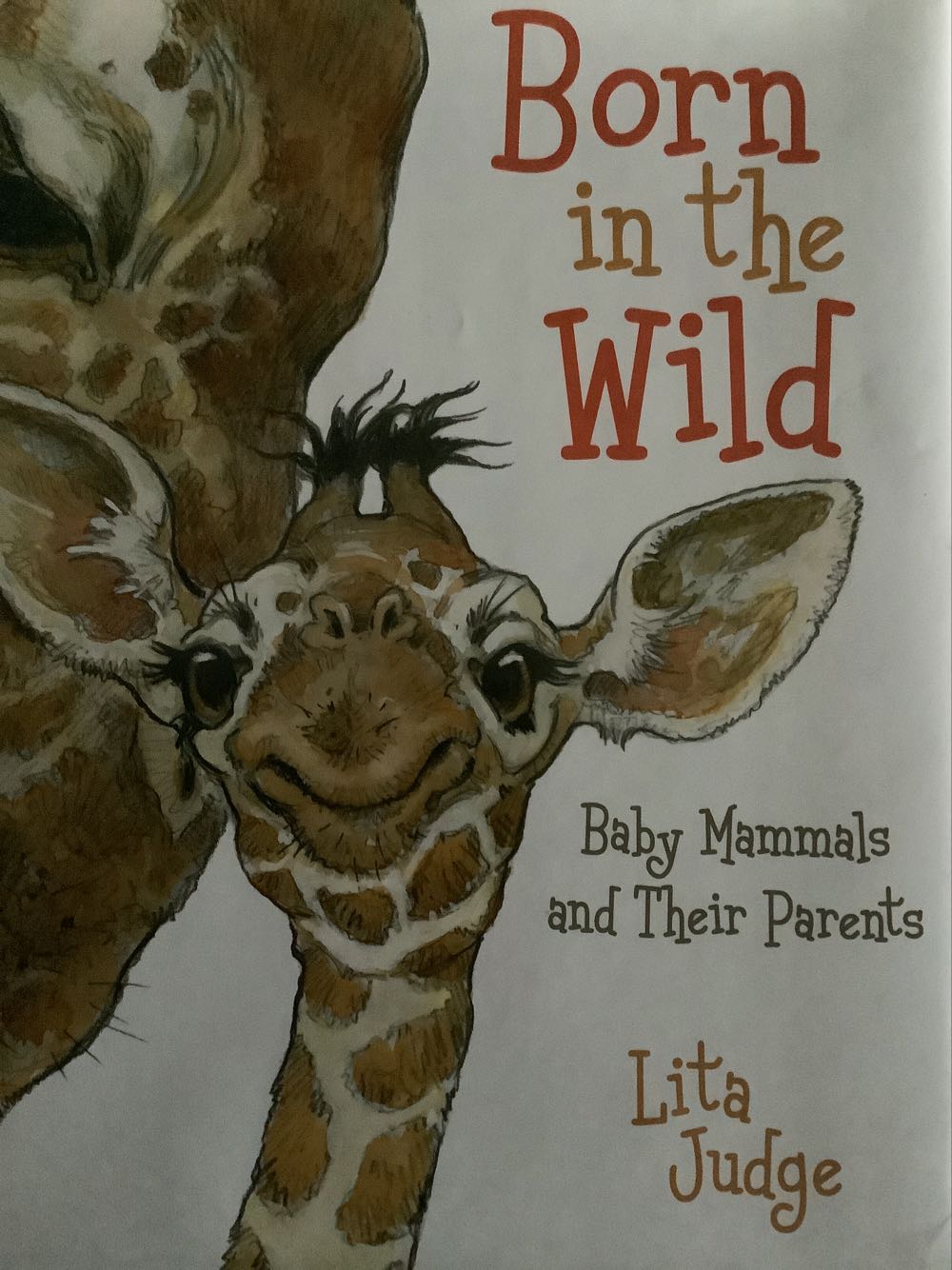 Born In The Wild