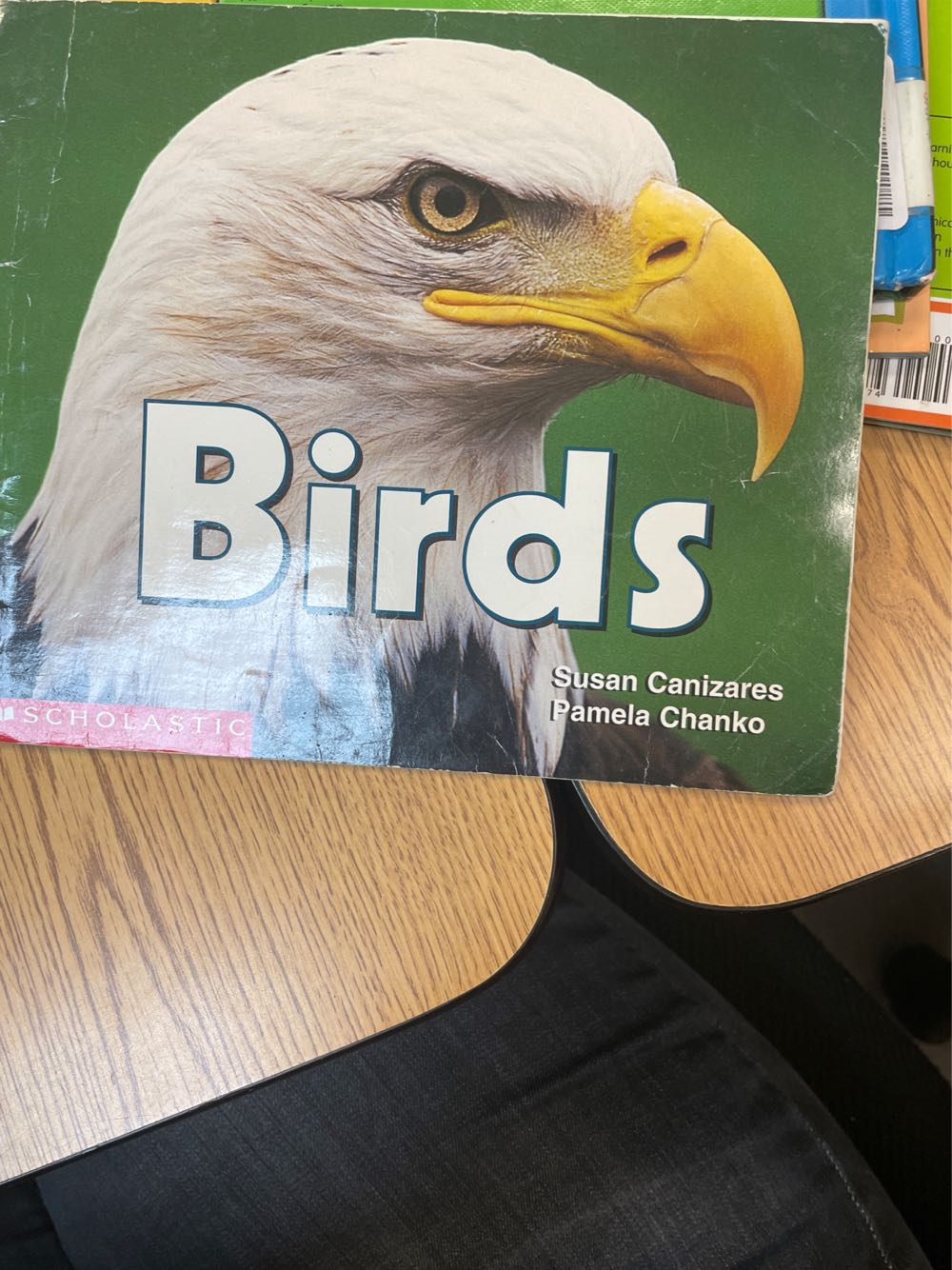 Birds