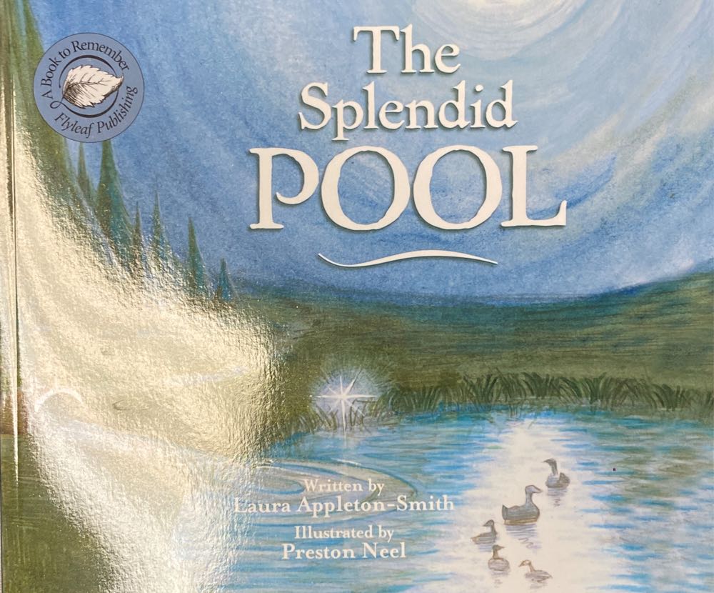 The Splendid Pool
