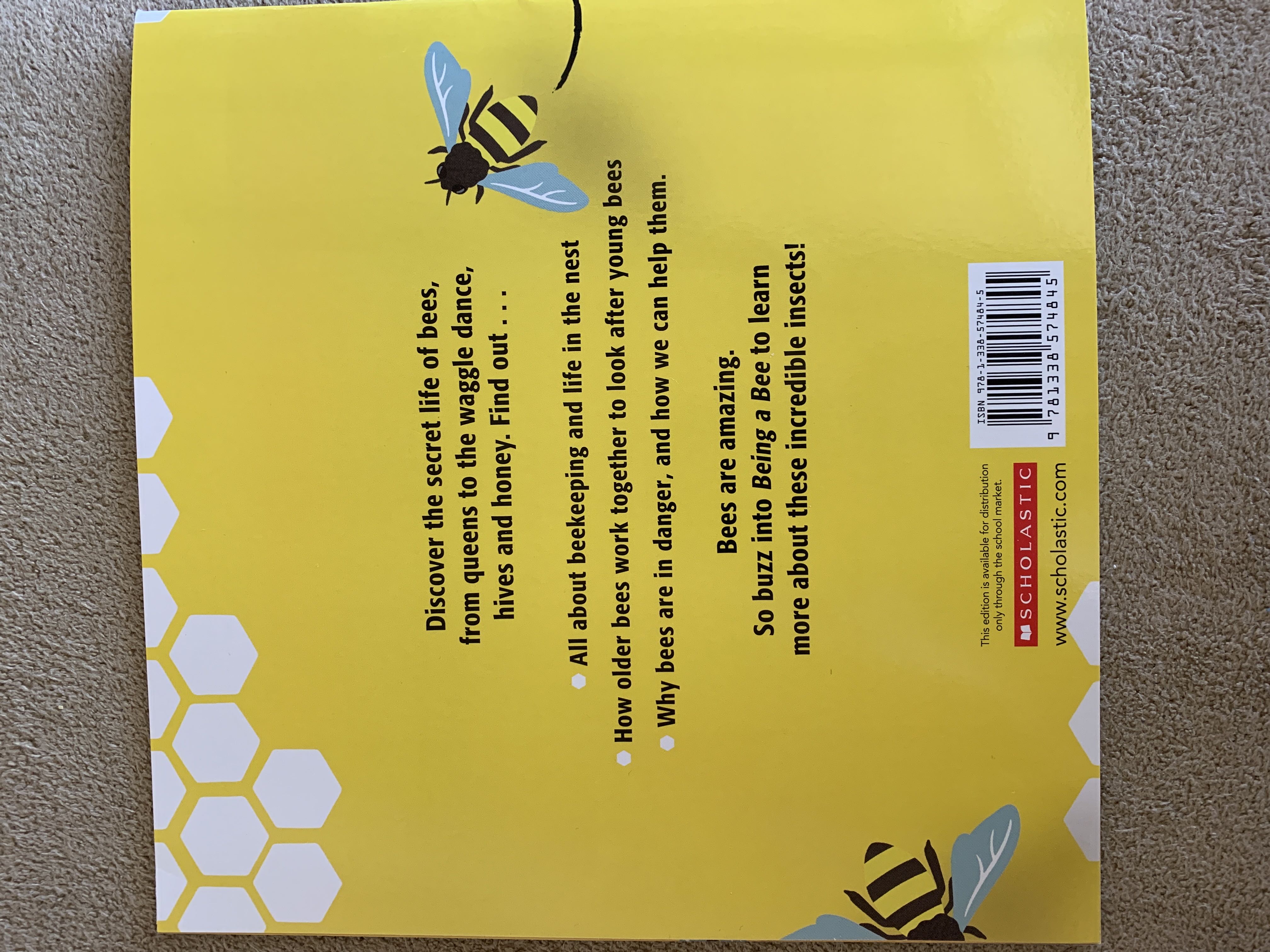Being a Bee - Jinny Johnson (Scholastic, Inc.) book collectible [Barcode 9781338574845] - Main Image 2