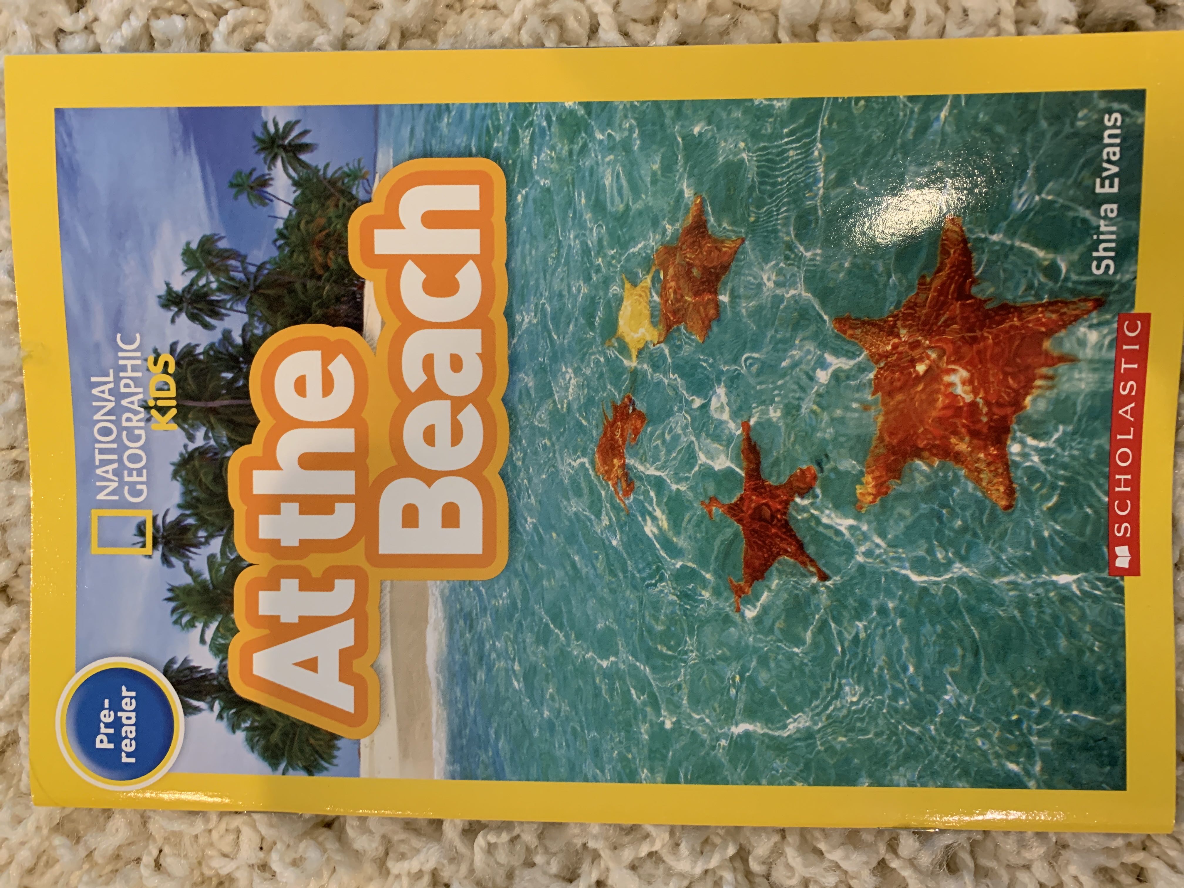 At The Beach NGK - Shira Evans (Scholastic, Inc.) book collectible [Barcode 9781338529883] - Main Image 1