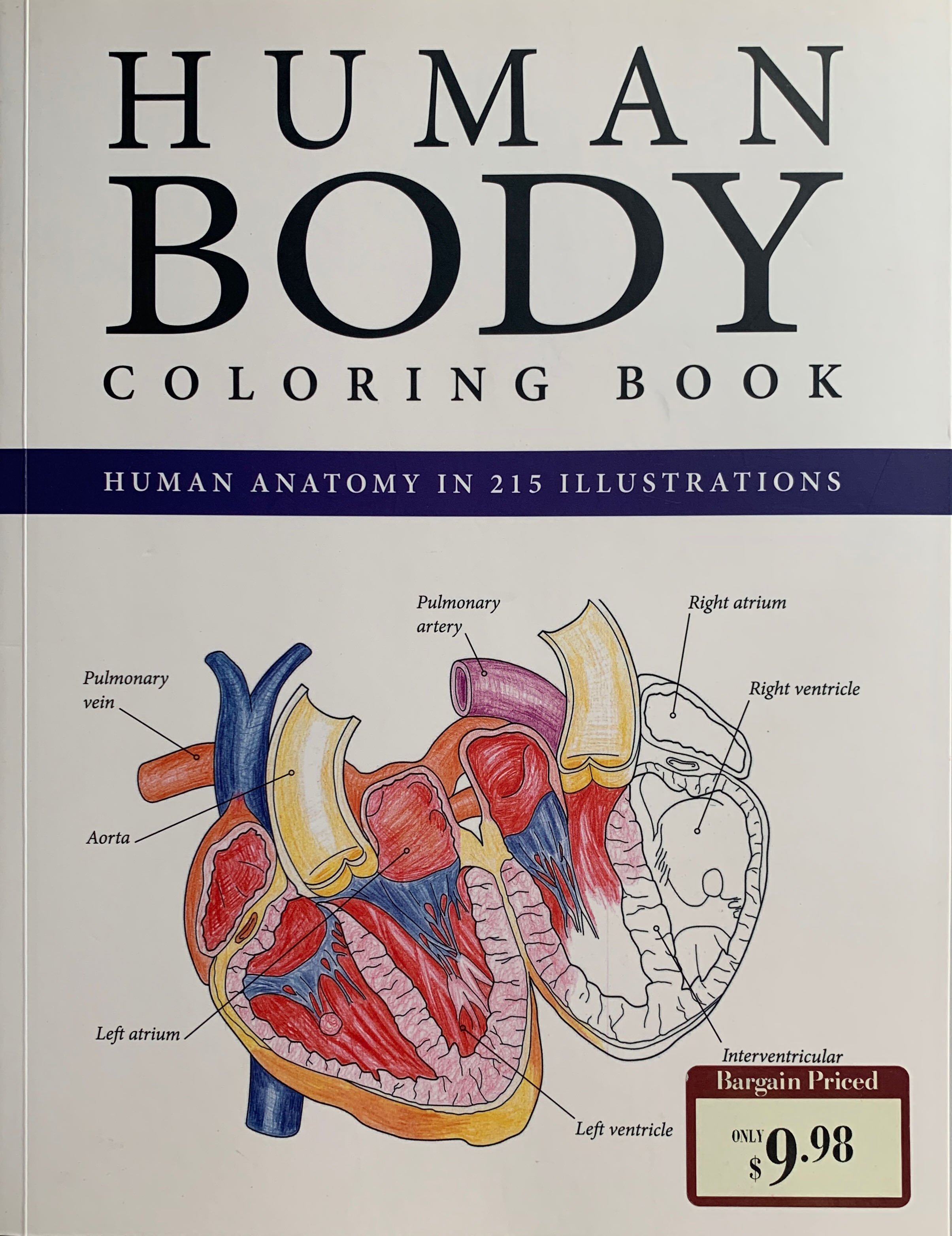 Human Body Coloring Book - In 215 Illustrations
