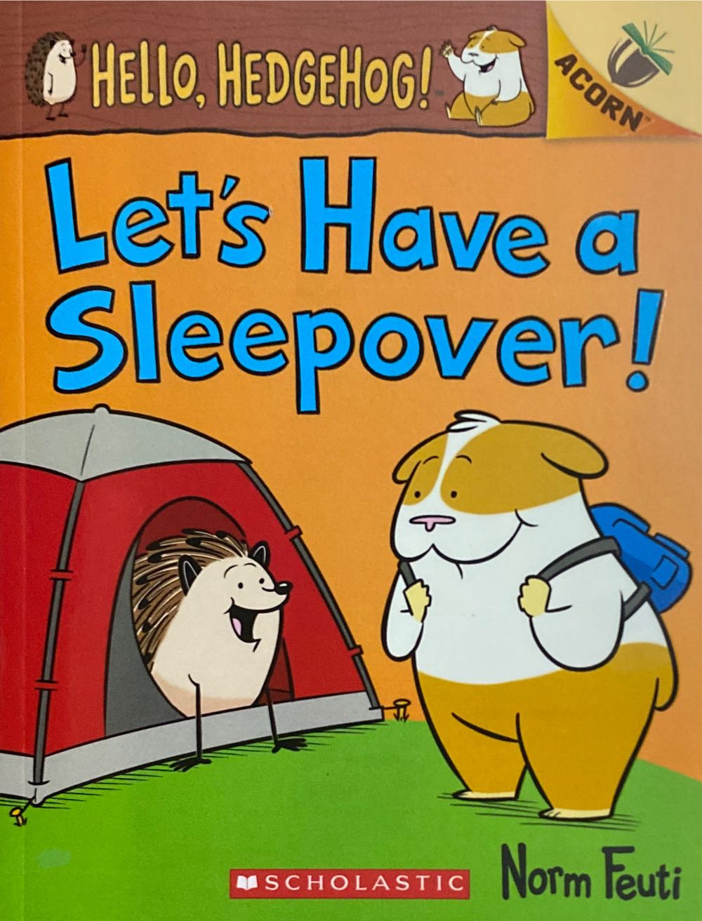 Let’s Have A Sleepover!