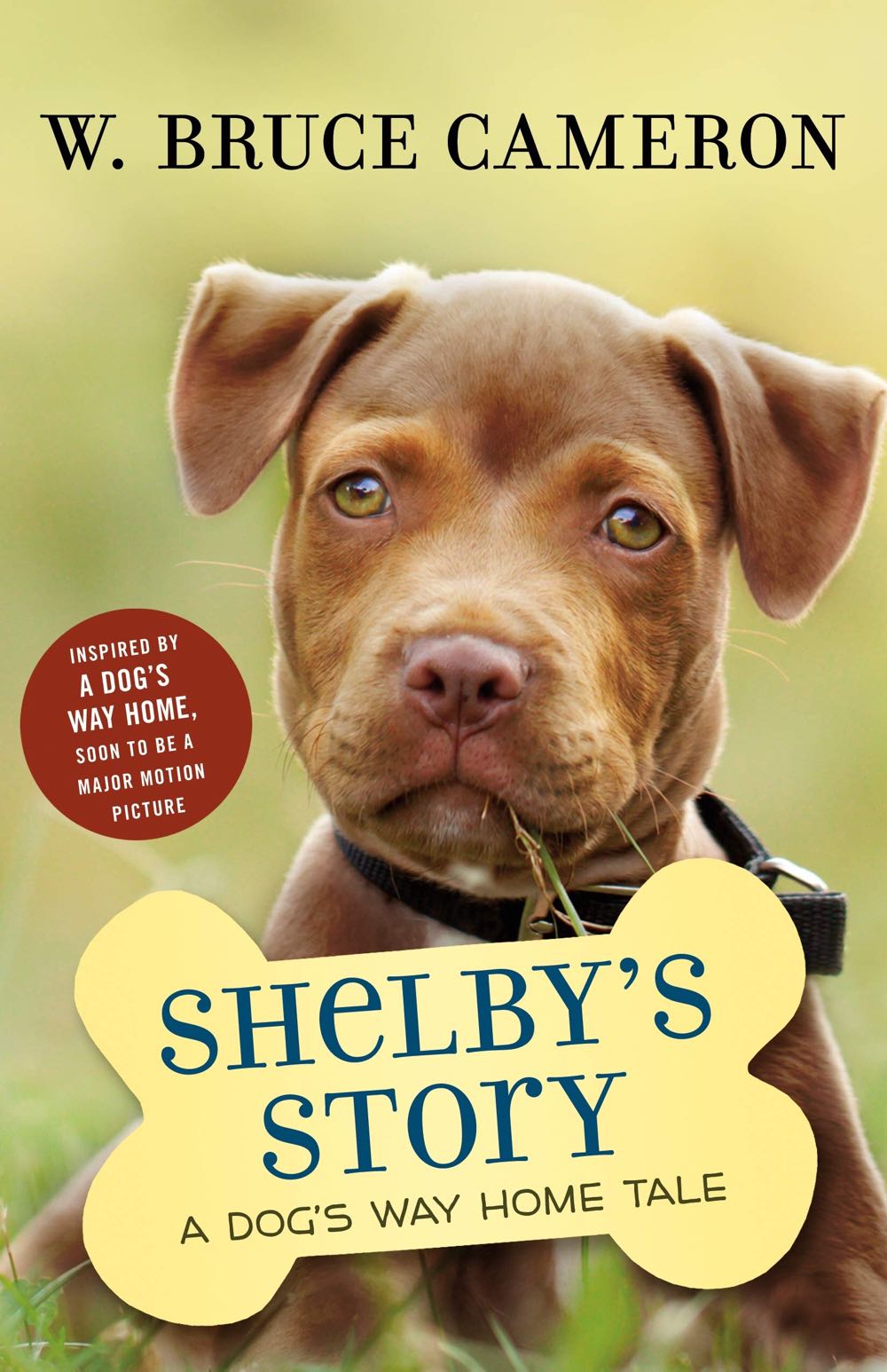 A Dog’s Way Home Tale: Shelby’s Story - W. Bruce Cameron (Scholastic - Paperback) book collectible [Barcode 9781338531787] - Main Image 1