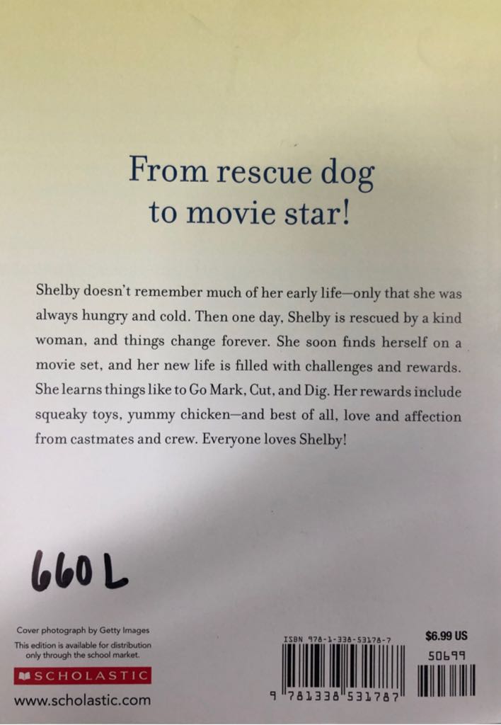 A Dog’s Way Home Tale: Shelby’s Story - W. Bruce Cameron (Scholastic - Paperback) book collectible [Barcode 9781338531787] - Main Image 2