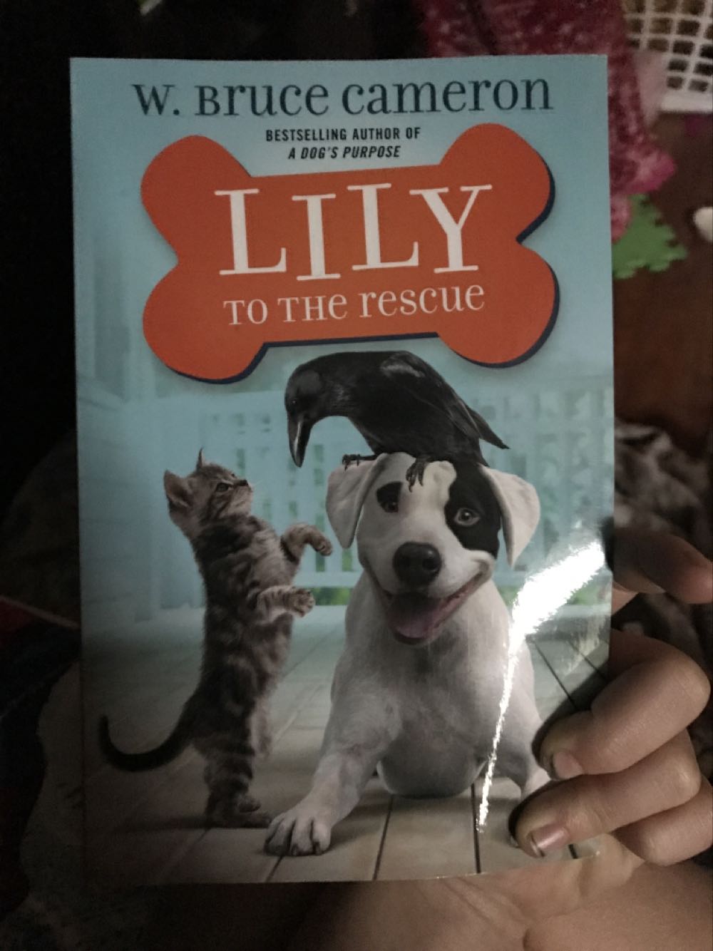 Lily to the Rescue