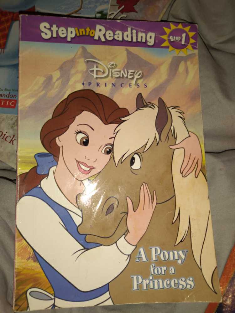 Disney Princess: A Pony for a Princess 