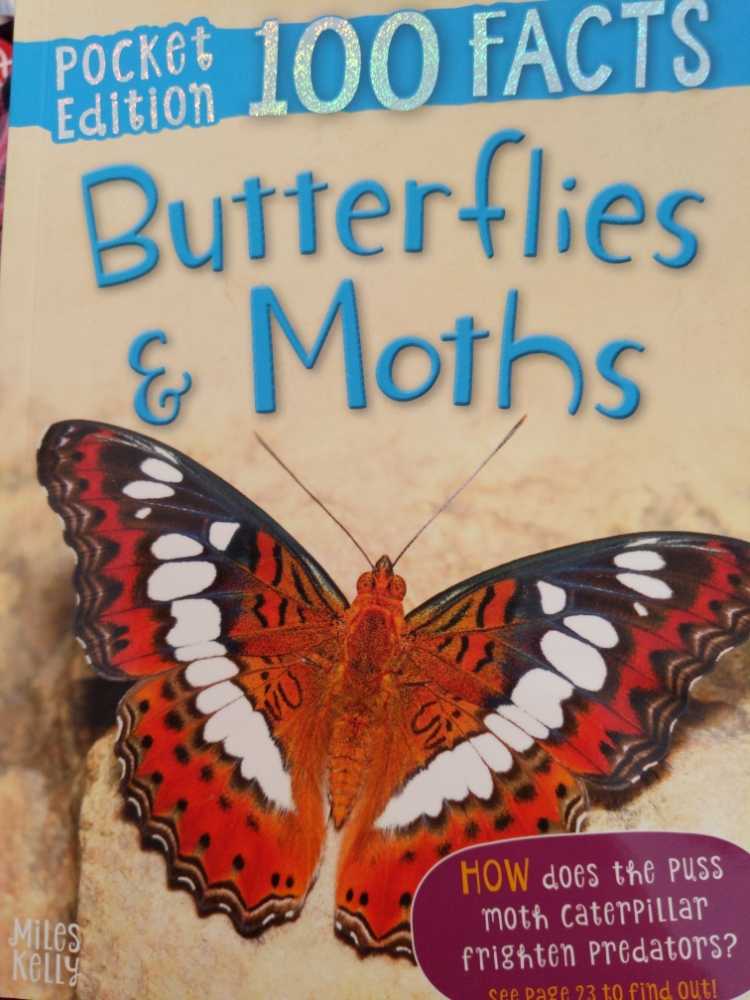 Pocket Edition 100 Facts Butterflies & Moths - Miles Kelly book collectible [Barcode 9781789891690] - Main Image 1