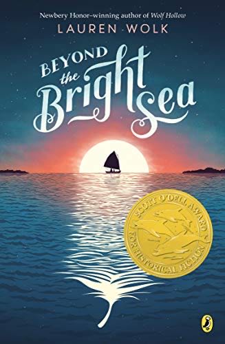 Beyond the Bright Sea - Lauren Wolk (- Paperback) book collectible [Barcode 9781101994870] - Main Image 1