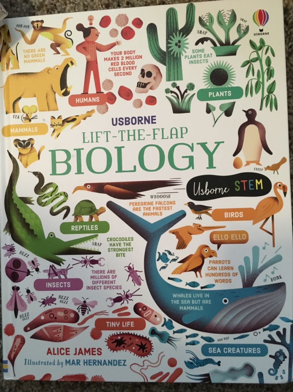 Lift-the-Flap Biology